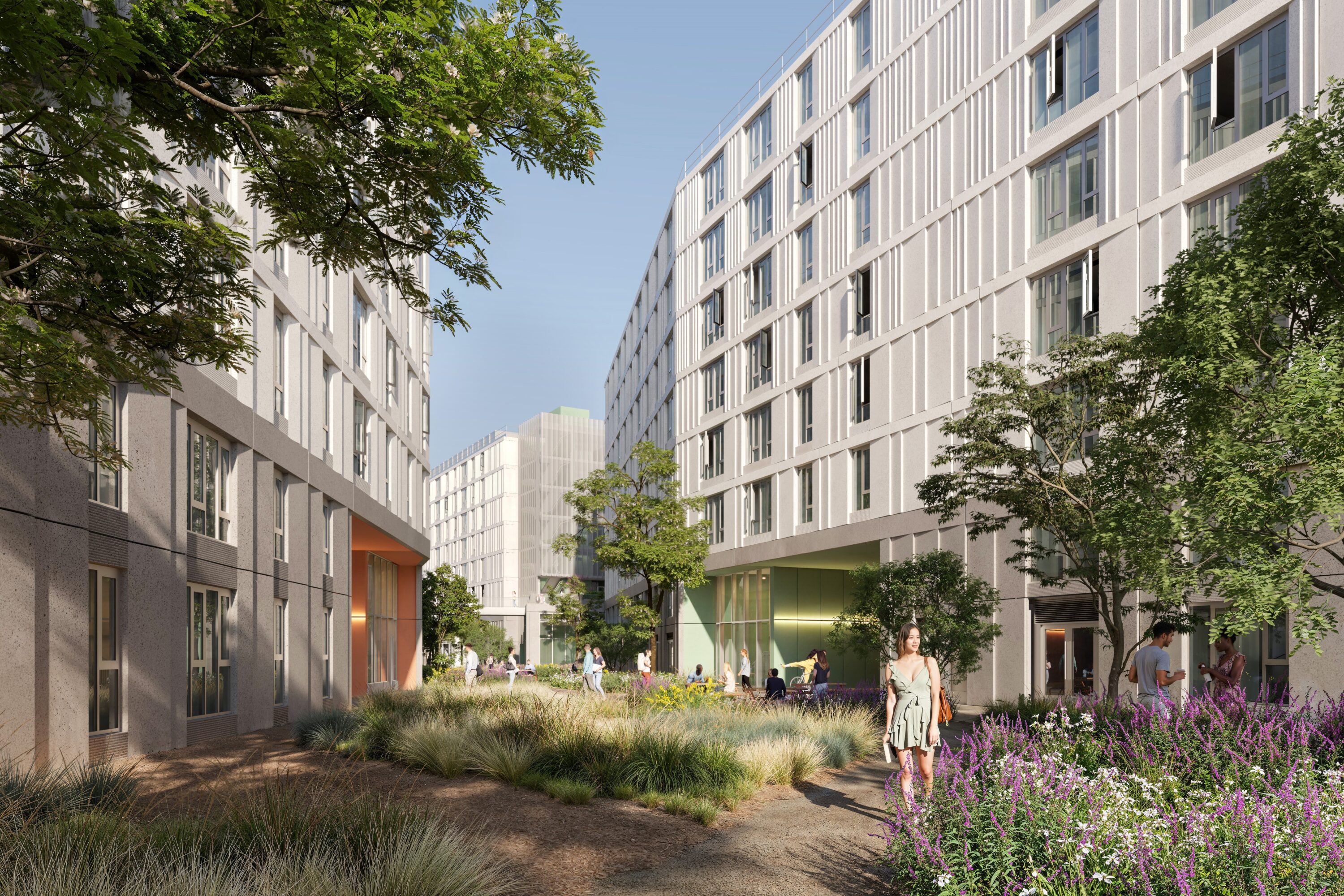 Urban courtyard with green spaces and modern buildings.